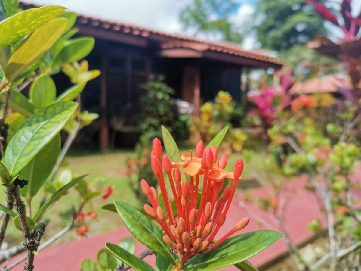 Hotel Canto De Ballenas Uvita Exterior photo