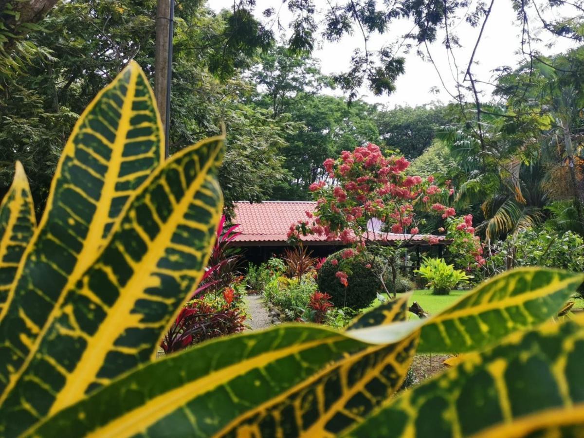 Hotel Canto De Ballenas Uvita Exterior photo
