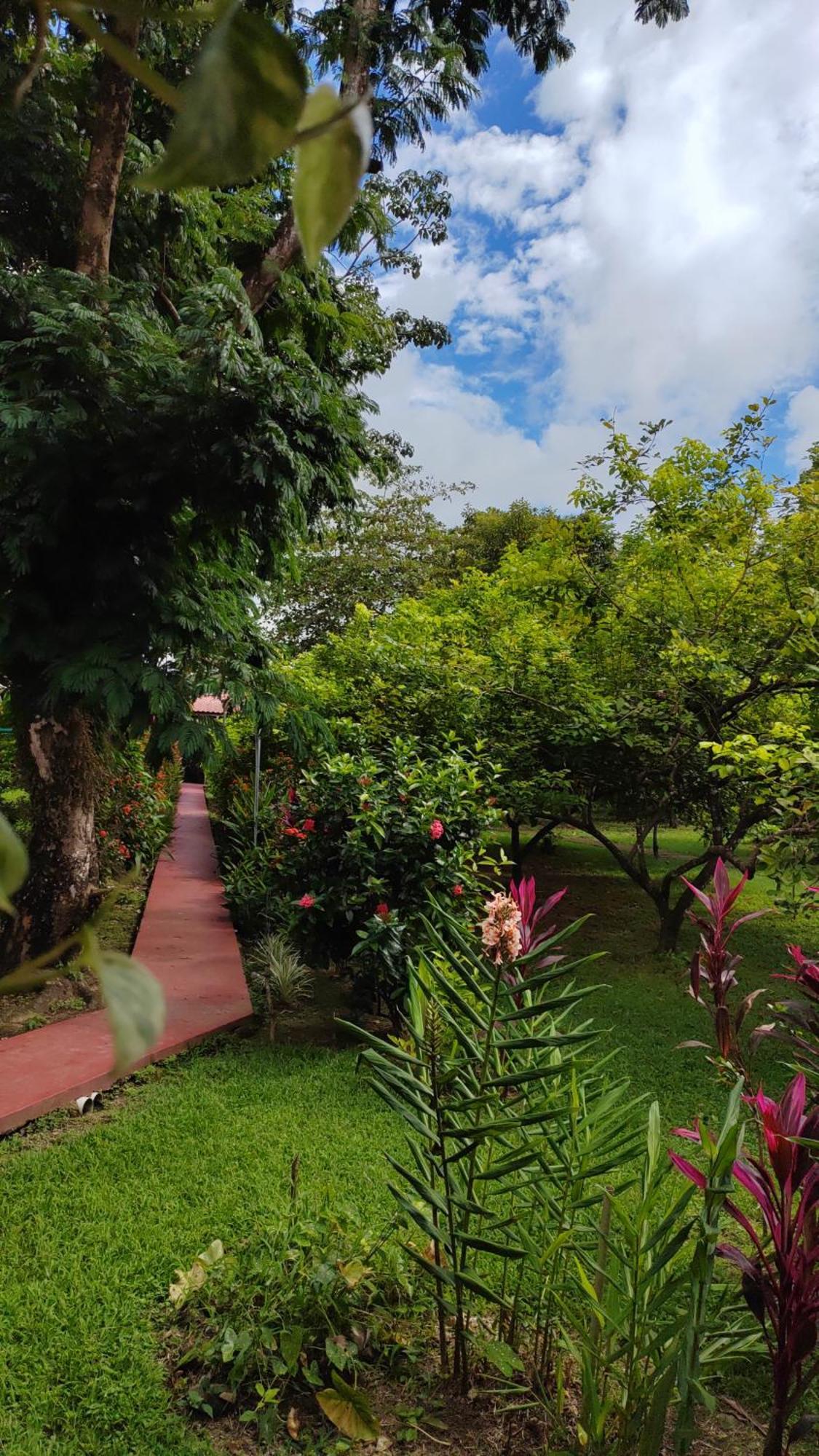 Hotel Canto De Ballenas Uvita Exterior photo